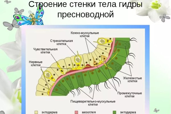 Кракен мефедрон