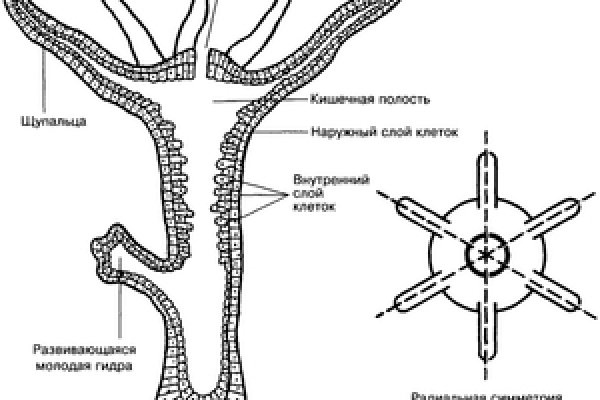 Кракен стор